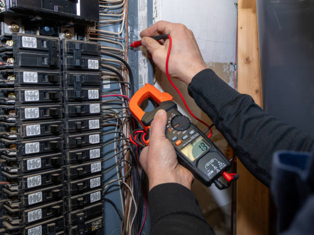 Best Electrical Repair Services  in Mledgevle, IL